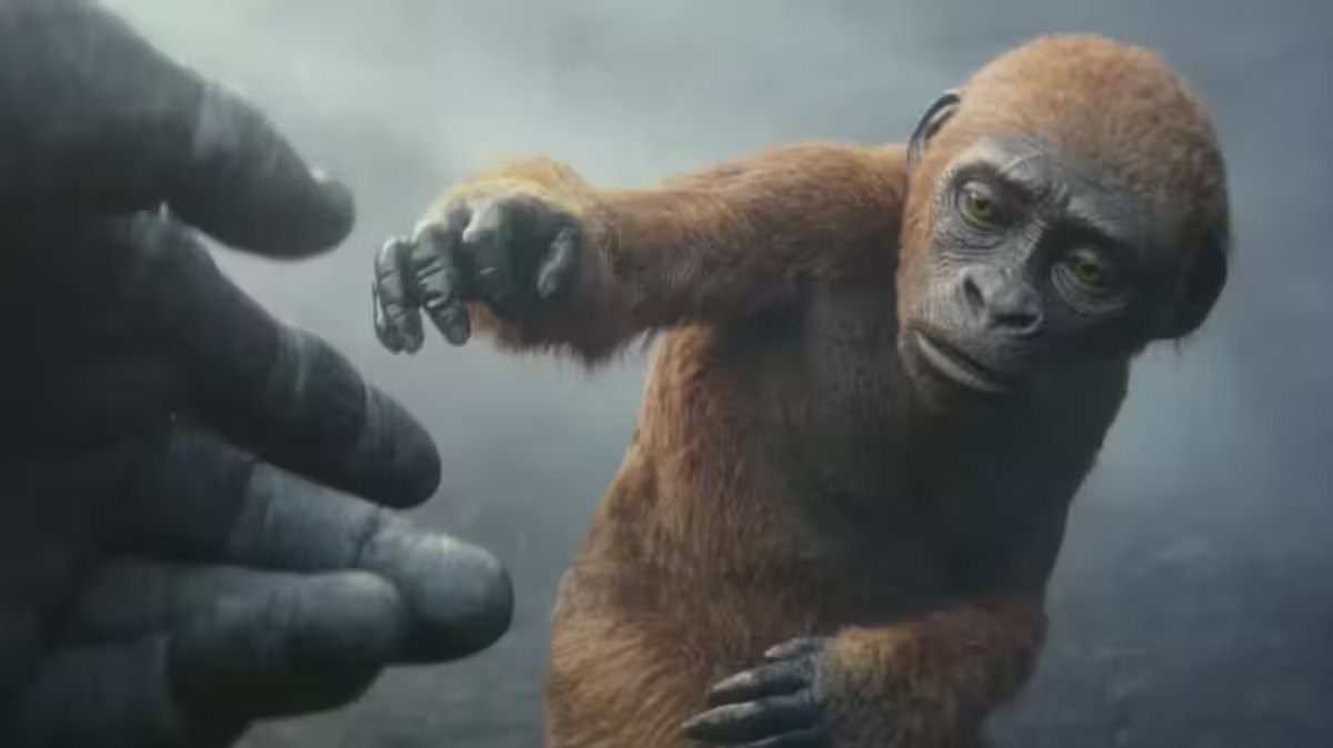 Suko Baby Kong Origin Story In Godzilla x Kong 2024 Sci Fi Film